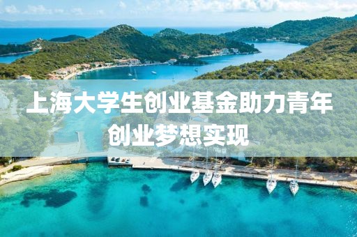 上海大学生创业基金助力青年创业梦想实现