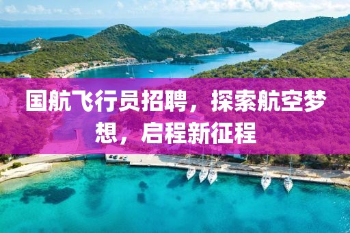 国航飞行员招聘，探索航空梦想，启程新征程