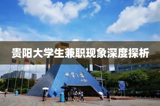 贵阳大学生兼职现象深度探析